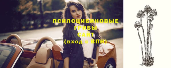каннабис Богданович