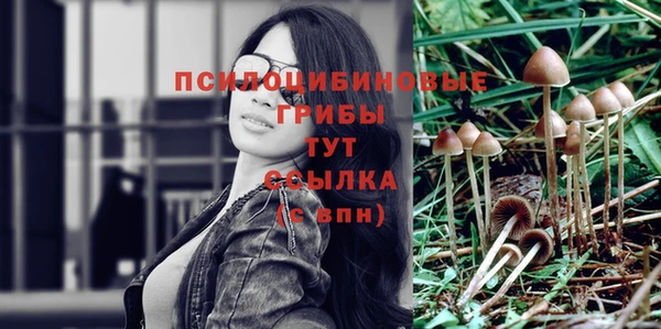 каннабис Богданович