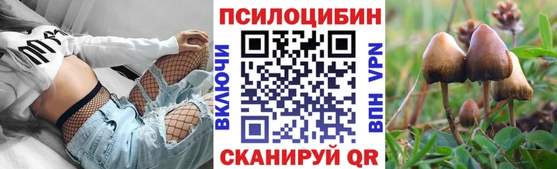 Галлюциногенные грибы мицелий  где можно купить   Новое Девяткино 